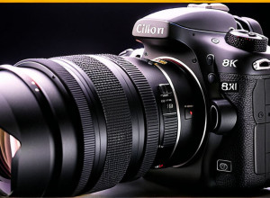 Ласкаво просимо до світу штучного інтелекту