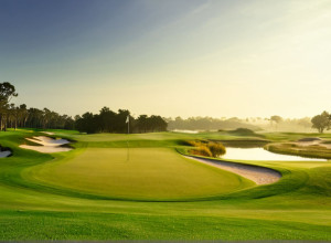 Раян Фокс серед лідерів на Australian PGA, Адам Скотт відстає на один удар