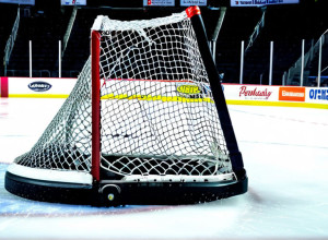 «Нешвілл Предаторз» перервали серію поразок перемогою над «Детройт Ред Вінгз»