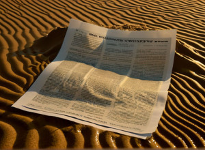 Натуралізовані громадяни США відчувають страх через імміграційну політику Трампа