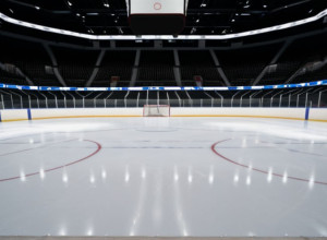 Kings та Ducks зійдуться у битві Тихоокеанського дивізіону НХЛ