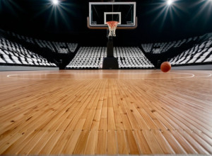 Баскетбольне протистояння: Gardner-Webb Runnin’ Bulldogs проти Elon Phoenix