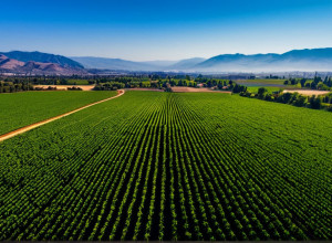 Силіконова долина: інновації, виклики та майбутнє