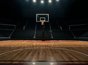 Баскетбольний поєдинок: Furman Paladins проти Illinois State Redbirds