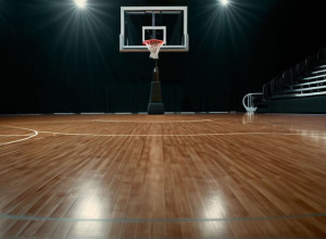 Баскетбольна зустріч: Niagara Purple Eagles проти Detroit Mercy Titans