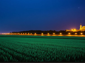 Історія України: від Київської Русі до сучасної незалежності