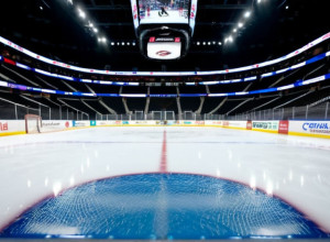 "Калгарі Флеймс" здобули вольову перемогу над "Флорида Пантерз" з рахунком 5:3