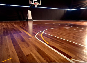 UMBC здобув перемогу над Delaware State з рахунком 71-57