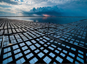 Зміна клімату: глобальні наслідки та шляхи вирішення