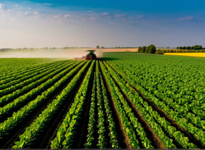 Інноваційні технології в сільському господарстві