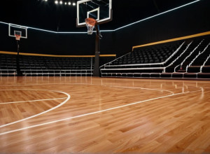 Баскетбол: Georgia Southern зіграють проти Gardner-Webb після феєричної гри Вебба