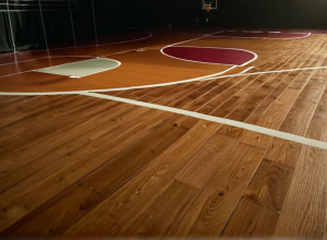 Перемога Alabama A&M над Tennessee State: Піссіс набрав 21 очко