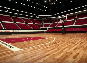 Баскетбольне протистояння: Delaware Fightin' Blue Hens проти Colgate Raiders