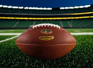 "Х'юстон Тексанс" здобули перемогу над "Індіанаполіс Колтс" та загострили боротьбу за AFC South.