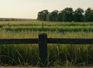 Розмита Межа Між Мічиганом та Індіаною: Чому Старий Кордон Створює Нові Проблеми