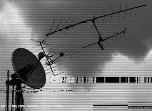 Білий Дім атакує NPR та PBS: під загрозою мільярд доларів фінансування