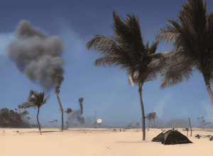 Крах Fyre Festival 2: МакФарланд продає бренд