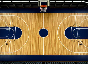 George Mason здобула переконливу перемогу над Catawba з рахунком 86-62