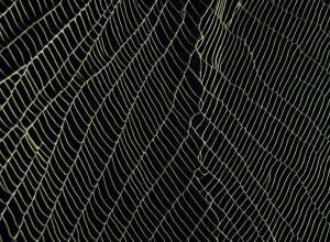 Криза Продовольчої Допомоги SNAP: Мільйони Американців Чекають на Виплати Через Блокування Уряду