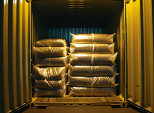 Нігерія співпрацює зі США та Великою Британією у розслідуванні кокаїнового картелю після вилучення 1000 кг наркотиків