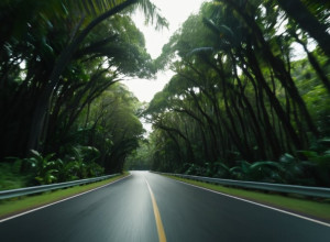 Смертельна ДТП на Балі: Загинуло п'ятеро китайських туристів