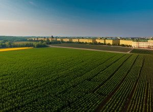 Історія України: від Київської Русі до сучасної незалежності