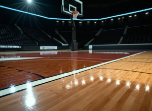 Вілкінсон веде «Джорджію» проти «Джорджія Тек» після 22-очкової гри