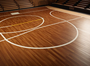 Баскетбольне протистояння: Bradley Braves та Western Illinois Leathernecks