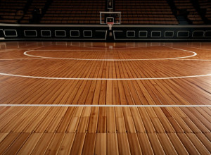 Баскетбол: «Чаттануга Мокс» проти «Північної Алабами Лайонс» – перегляд неконференційного матчу