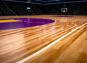 Рейтинг жіночих студентських баскетбольних команд USA TODAY: "Коннектикут" зберігає лідерство