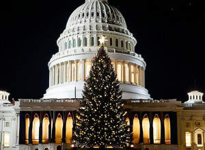 Ялинка Капітолію США з Невади: Історія Срібної Красуні