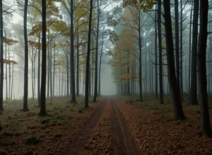 Жахлива справа в Мічигані: Матір та її чоловіка звинувачують у вбивстві вагітної доньки