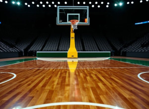 Баскетбольний поєдинок: Hampton Pirates зустрічаються з Loyola (MD) Greyhounds