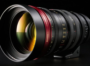 Johnson leads Akron against Buffalo