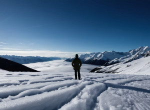 Сенатор Том Тилс не боїться руйнування влади