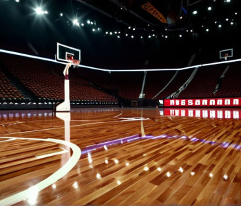 Баскетбольний поєдинок: Kentucky Wildcats проти North Carolina Central Eagles