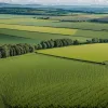 ЕС утвердил новые стандарты устойчивого сельского хозяйства