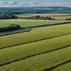 Республиканцы и сельскохозяйственные группы США ставят под сомнение доклад MAHA