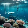 США рассматривают проект Impossible Metals по добыче полезных ископаемых на дне океана