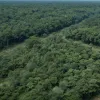 В Индии силовики уничтожили десятки маоистских повстанцев в ходе масштабной операции