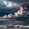 Штаты и города США опасаются сезона катастроф на фоне сокращения федерального финансирования