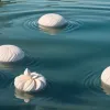 Искусство самосострадания: Как научиться быть добрее к самому себе
