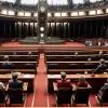 Германия: Фридрих Мерц и новое правительство ФРГ перед вызовом оппозиции от АдГ
