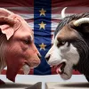 «Мясная война» между США и Европой: почему американская говядина стала яблоком раздора