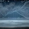 Туристический сектор США может потерять $12.5 млрд от международных поездок в этом году