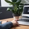 Сколько на самом деле платят за платные рассылки типа Substack? Суммы могут удивить