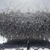 Лаура Лумер столкнулась с последствиями своей тактики: что произошло с американским активистом