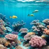 «Рифозащитный» солнцезащитный крем: действительно ли он спасает кораллы?