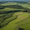 Южная Каролина призывает признать сельхозугодья с ПФАС-загрязнением зоной Superfund