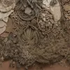 Искусство persistence: Бразильская художница Росана Паулино и ее работы о памяти и идентичности
